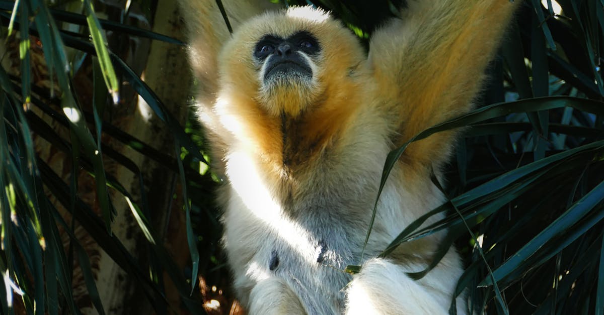 Adopting Eco-friendly Materials in Commercial Electrical Installations