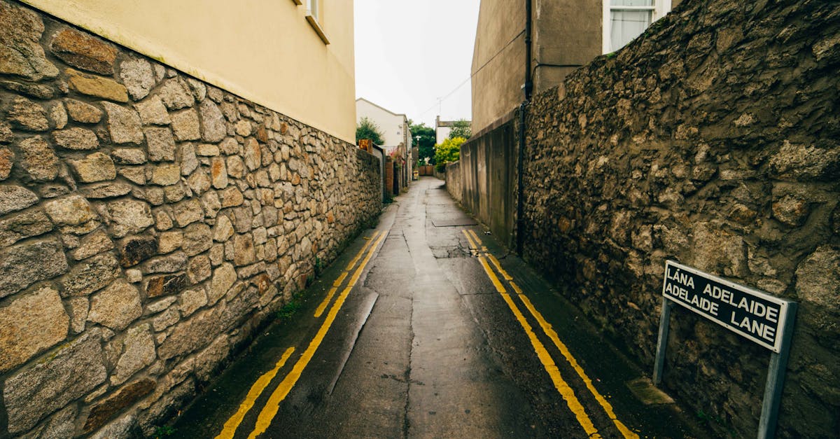 Case Studies on Successful Compliance with Environmental Regulations