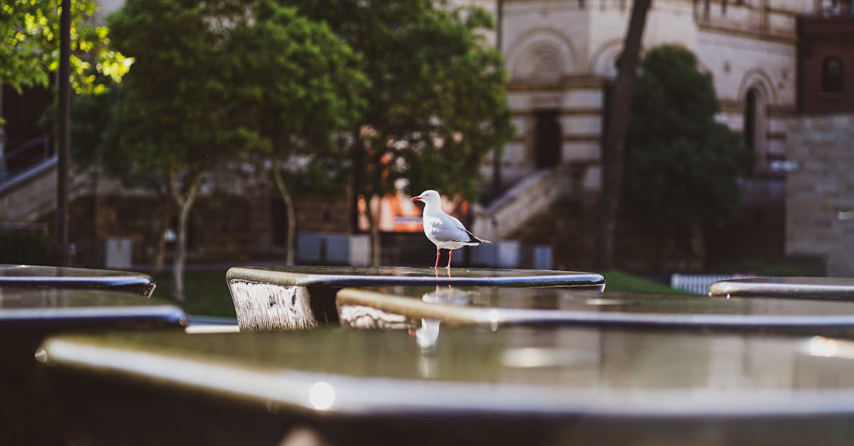 Exploring the Future of Eco-conscious Electrical Design