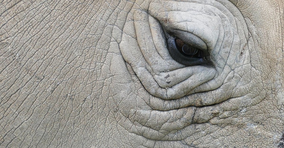 Importance of Regular Safety Audits for Electrical Systems