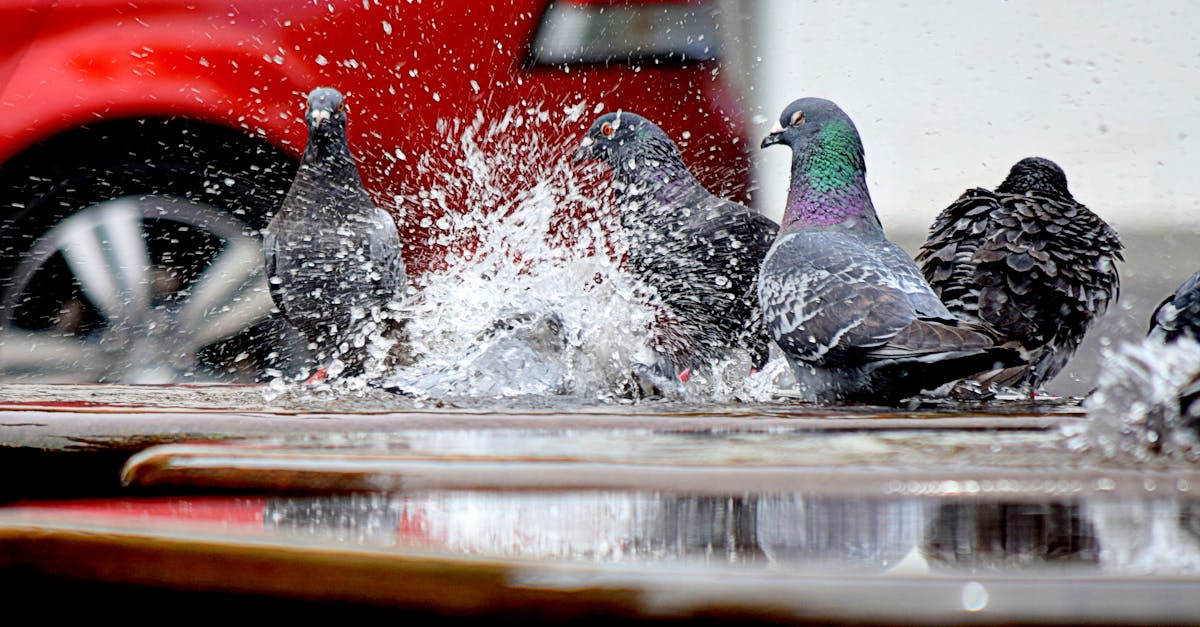 Responding Effectively to Power Outages: An Emergency Electrician's Guide