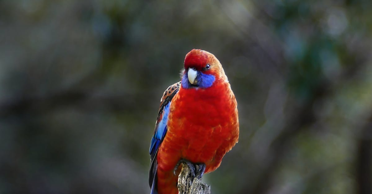 The Importance of Quality Materials in Commercial Electrical Installations