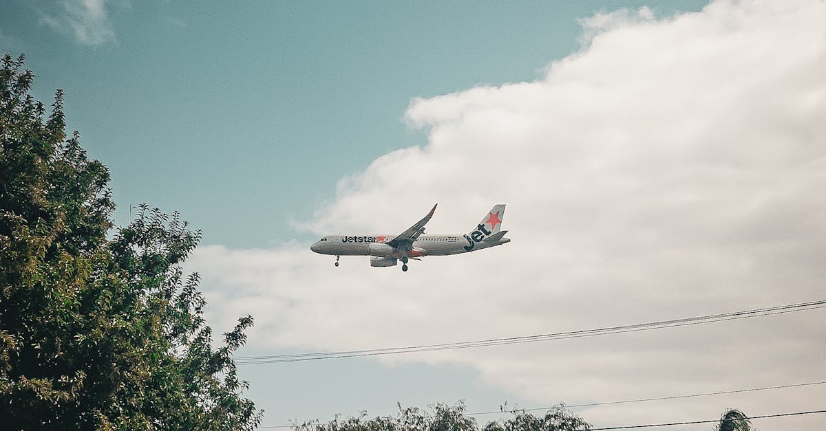 The Influence of Green Certifications on Business Energy Strategies