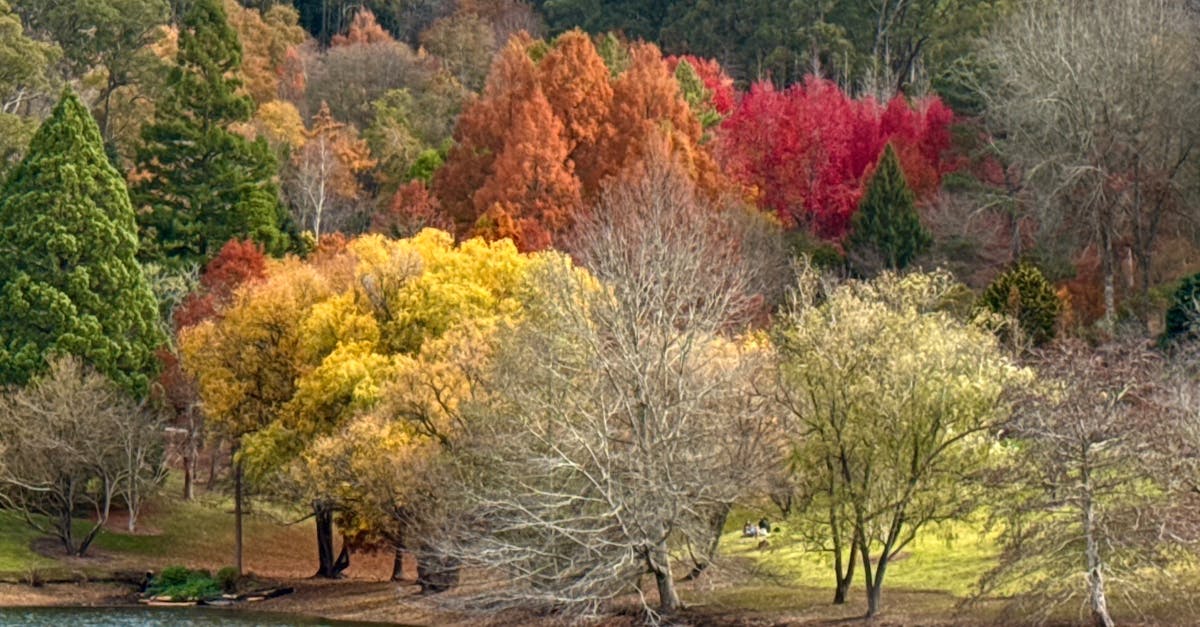 Understanding the Costs of Electrical Repairs for Commercial Establishments